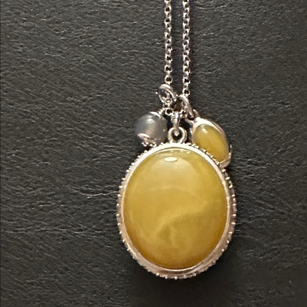 Ann Taylor 30” Lucite Cluster Pendant New Vintage Necklace